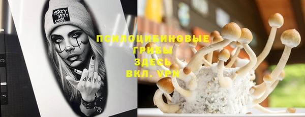 первитин Армянск