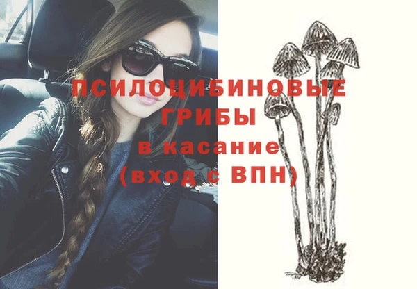 jwh Аркадак