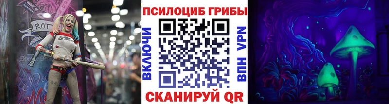 дарнет шоп Вышний Волочёк Псилоцибиновые грибы Cubensis